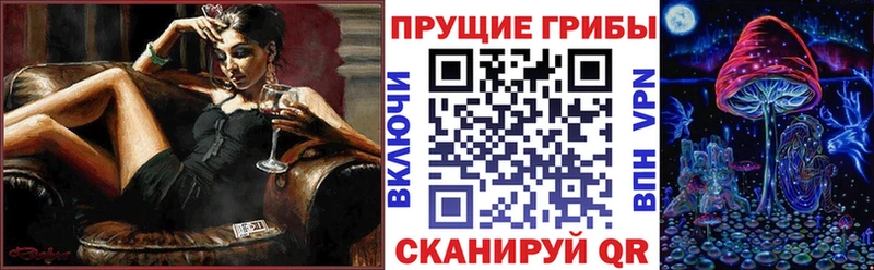 OMG   Ковдор  Псилоцибиновые грибы мухоморы  даркнет сайт 